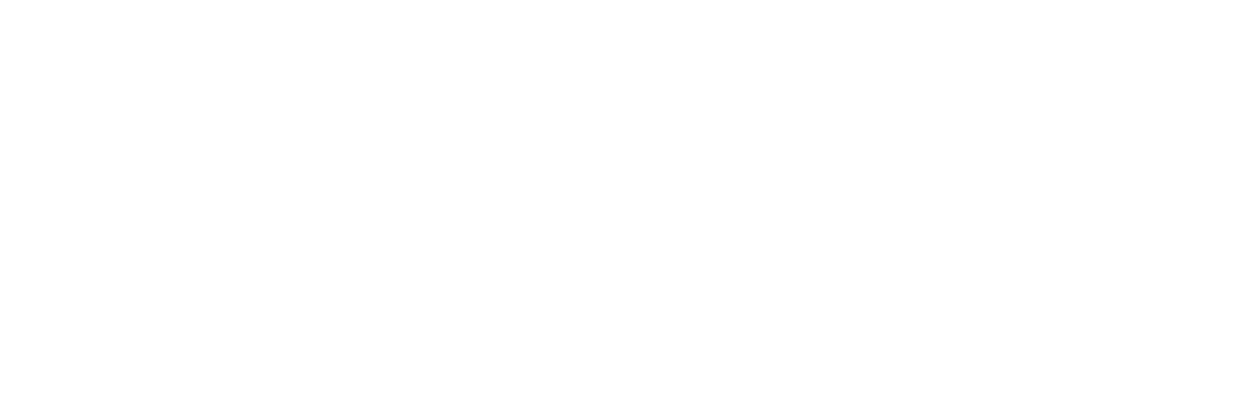 Navy Logo